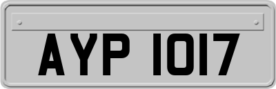 AYP1017