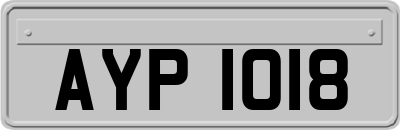 AYP1018