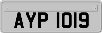 AYP1019