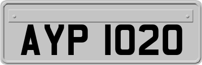 AYP1020