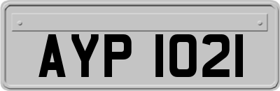 AYP1021