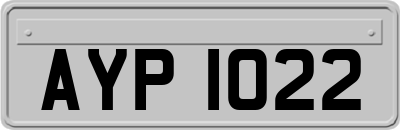 AYP1022