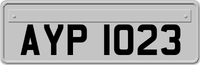 AYP1023