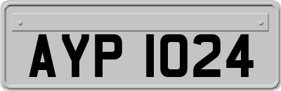 AYP1024