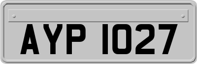 AYP1027