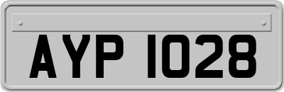 AYP1028