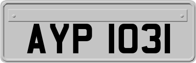 AYP1031