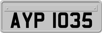 AYP1035
