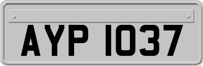 AYP1037
