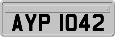AYP1042