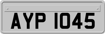 AYP1045