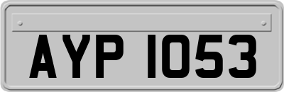 AYP1053