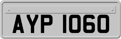 AYP1060