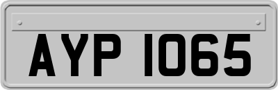 AYP1065