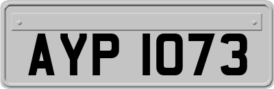 AYP1073