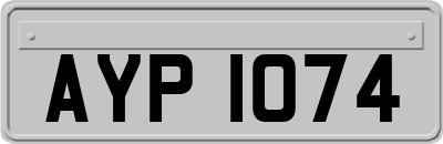 AYP1074