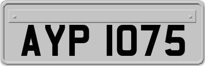 AYP1075