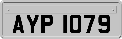 AYP1079