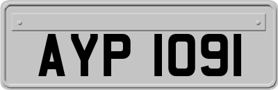 AYP1091