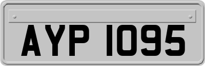 AYP1095