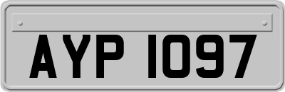AYP1097