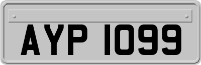 AYP1099