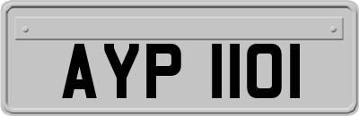 AYP1101
