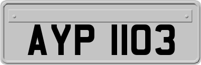 AYP1103