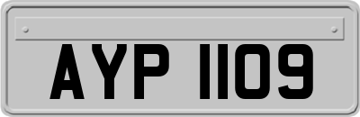 AYP1109
