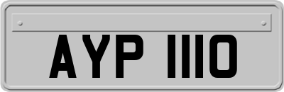 AYP1110
