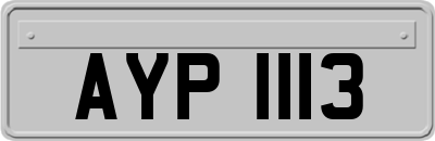 AYP1113