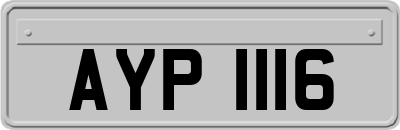 AYP1116