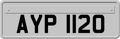 AYP1120