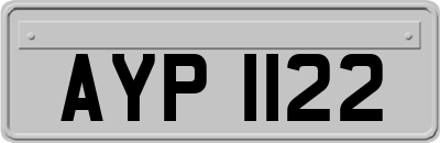 AYP1122
