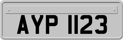 AYP1123