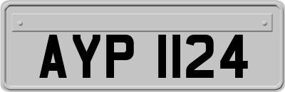 AYP1124