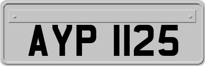 AYP1125