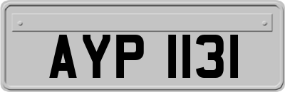 AYP1131