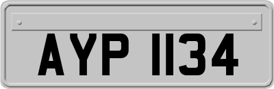 AYP1134