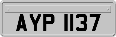 AYP1137