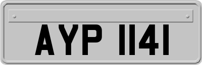 AYP1141