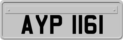 AYP1161
