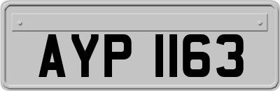 AYP1163