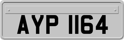 AYP1164