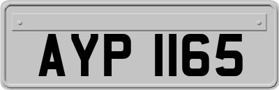 AYP1165