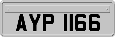 AYP1166