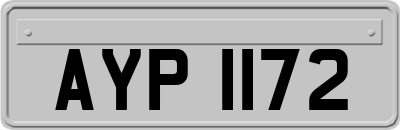 AYP1172