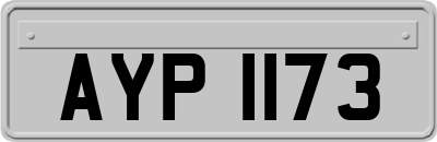 AYP1173