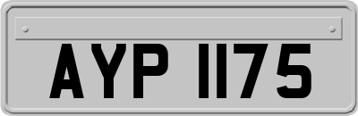 AYP1175