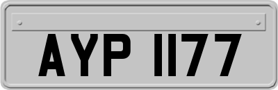 AYP1177